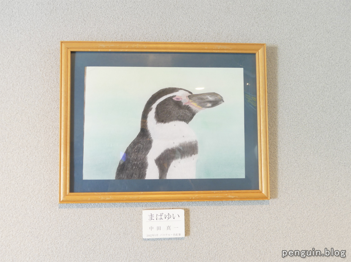 中田真一さんのペンギン絵